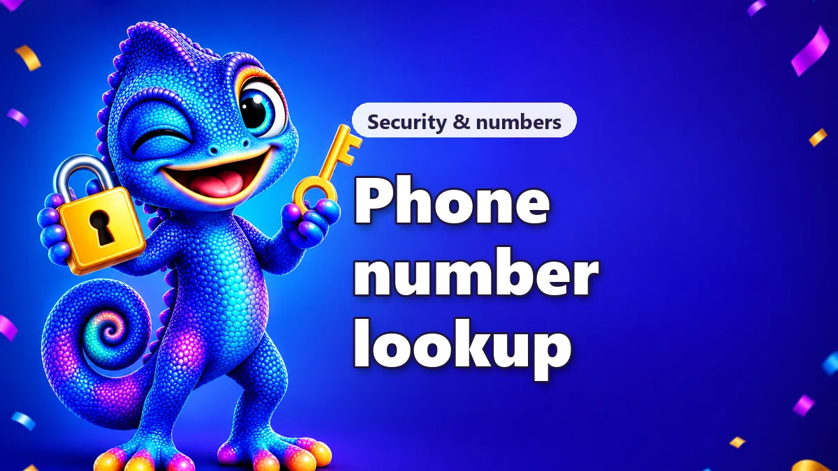 Phone number lookup: check format and country code